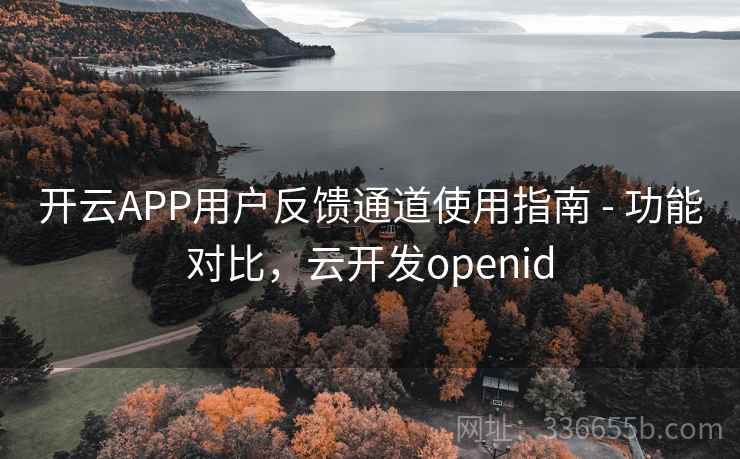开云APP用户反馈通道使用指南 - 功能对比，云开发openid