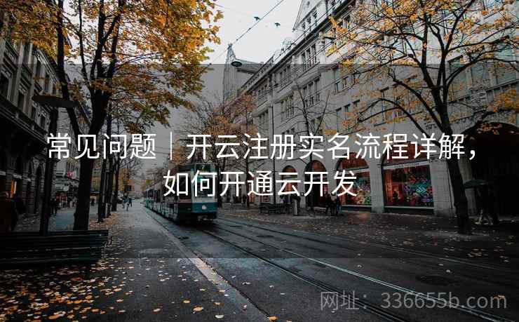 常见问题｜开云注册实名流程详解，如何开通云开发