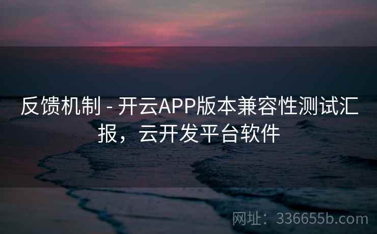 反馈机制 - 开云APP版本兼容性测试汇报，云开发平台软件