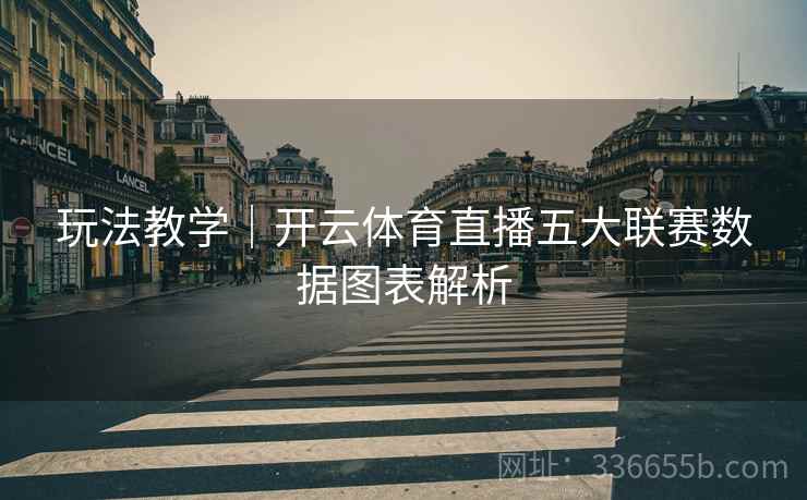 玩法教学｜开云体育直播五大联赛数据图表解析