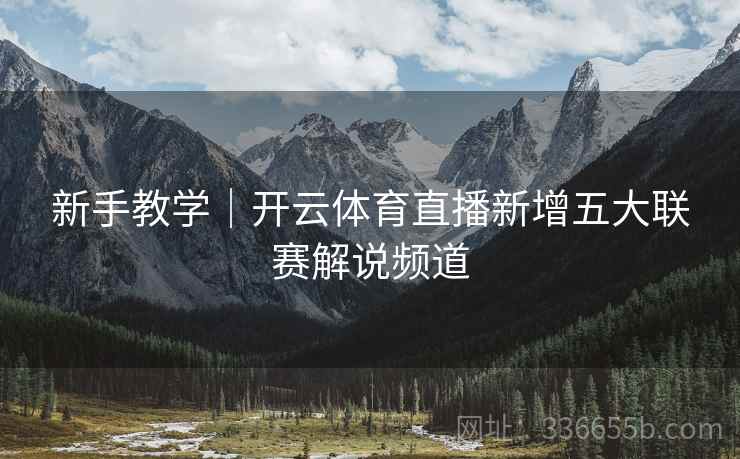 新手教学｜开云体育直播新增五大联赛解说频道