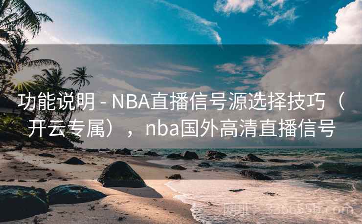 功能说明 - NBA直播信号源选择技巧（开云专属），nba国外高清直播信号